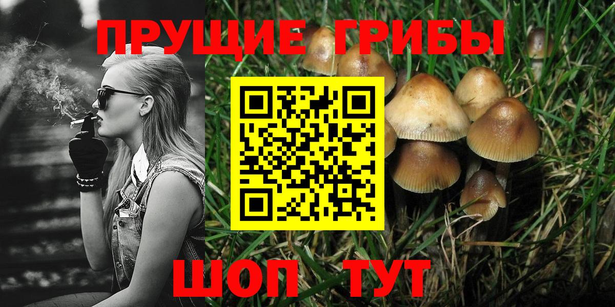Галлюциногенные грибы Psilocybine cubensis Рузаевка