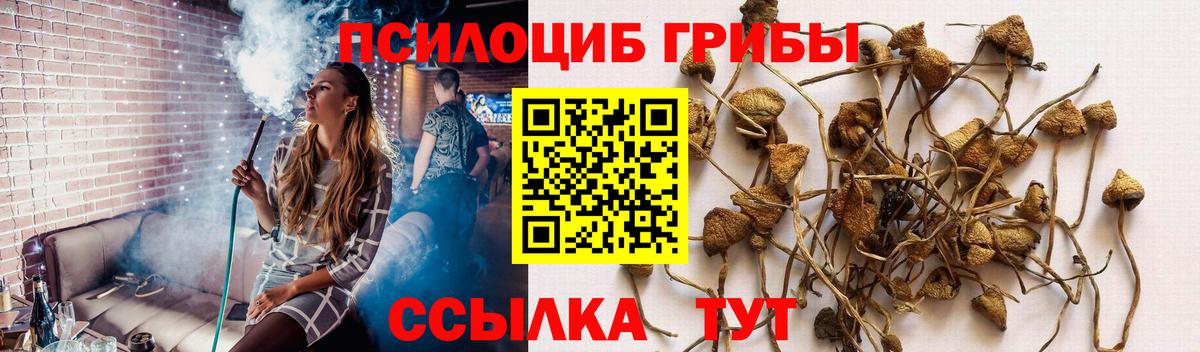 Галлюциногенные грибы ЛСД  Галлюциногенные грибы мицелий  Вход с VPN  Рузаевка 